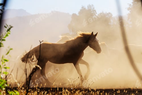 Preview: Horse