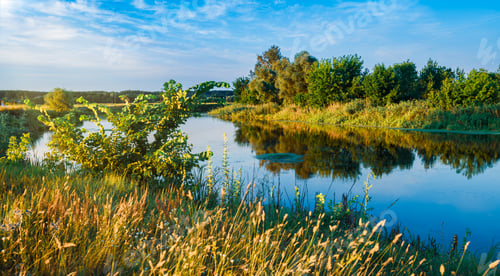 Preview: Beautiful landscape of silent lake near forest