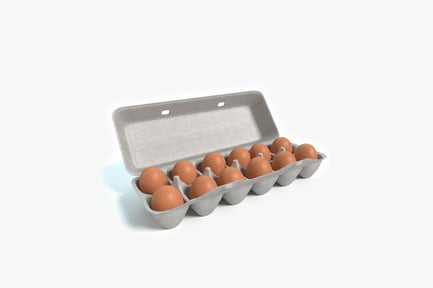 Preview: Graded brown eggs in cardboard carton