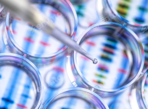 DNA Sequencing Research in a Medical Laboratory