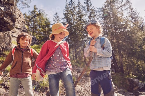 Preview: Three children exploring forest