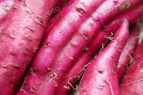 Preview: Close up of raw sweet potato in a bowl