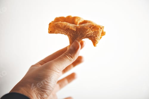 Preview: Close up of chanterelle mushroom