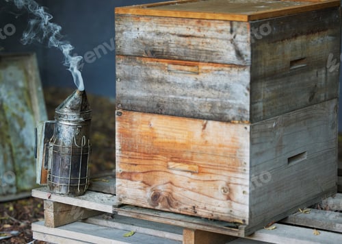 Preview: Wooden box, smoke or beekeeper equipment on sustainability agriculture, countryside environment nat