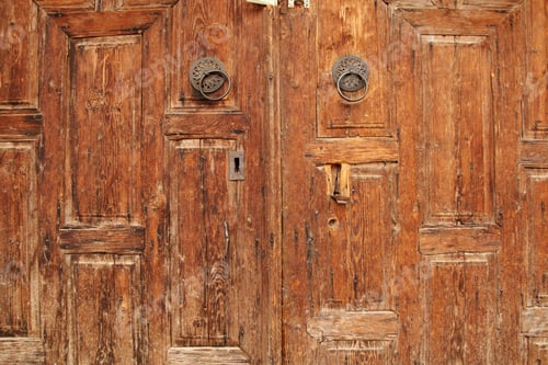 Preview: Wood Door