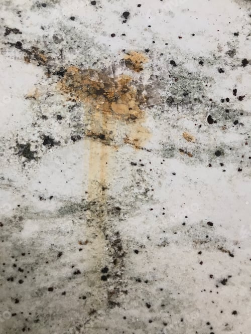 Preview: Granite countertop texture makes a great background