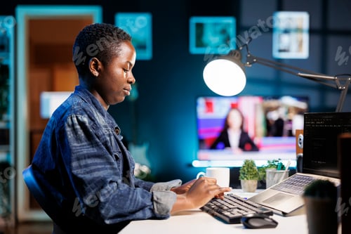 Preview: Professional woman working on laptop