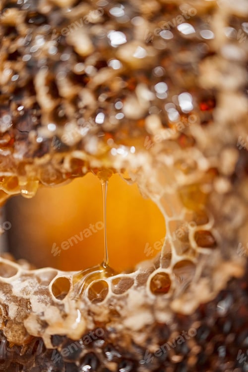 Preview: Nature, honeycomb and texture drip macro for nutrition, health and bee farming production. Natural,