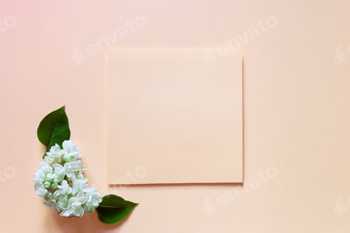 Preview: Paper empty blank card and beautiful white lilac flowers on a delicate peach background.