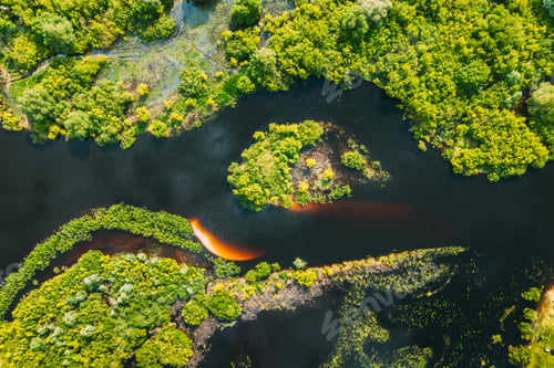Preview: Aerial view. Green forest and river marsh landscape in summer. Top view of european nature from high