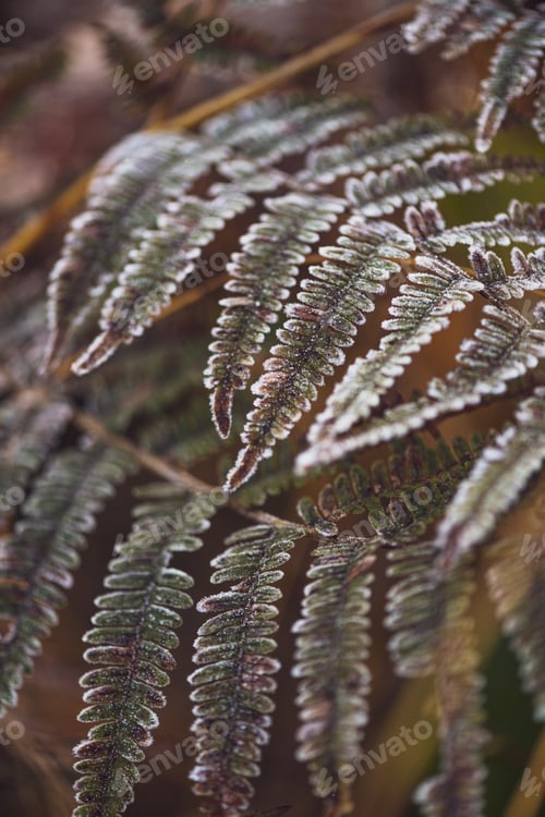 Preview: Blurred Fall Leaves Creating a Soft and Warm Natural Autumn Background