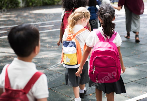 Preview: Kindergarten students walking crossing school road