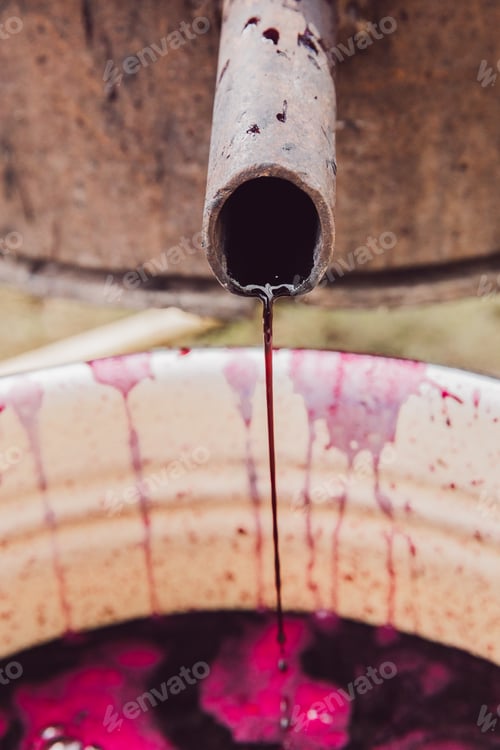 Preview: A thin stream of dark burgundy grape juice flows from a wine press.