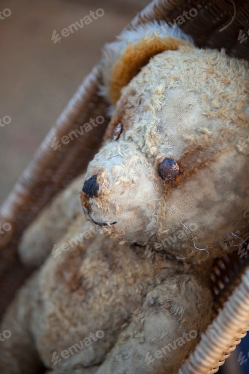 Preview: Teddy bear