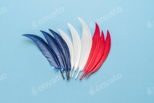 Preview: a red white and blue bird feathers flat lay, creative simple concept