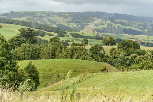 Preview: aerial view of beautiful green fields, New Zealand