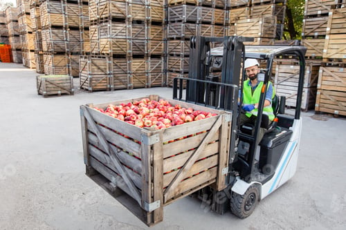 Preview: Harvest control, loading, lifting and delivery at warehouse, food business