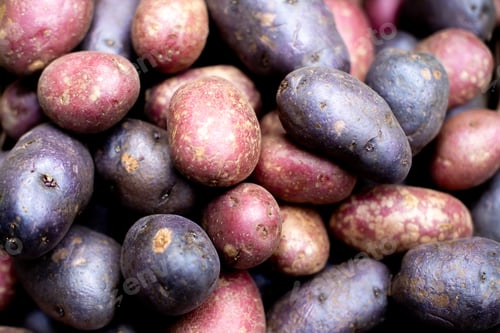 Preview: a pile of different colored potatoes sitting on top of each other