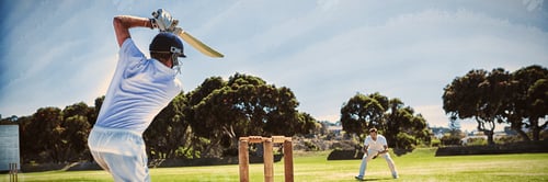 Preview: Player batting while playing cricket on field