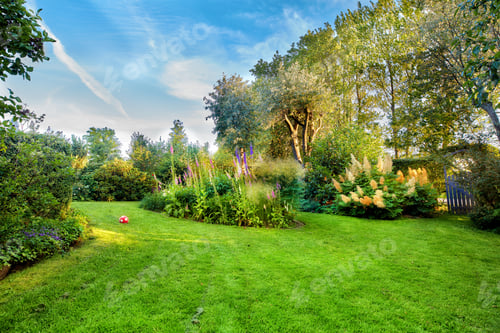Preview: Beautiful flowers from my garden. A series of beautiful garden photos.