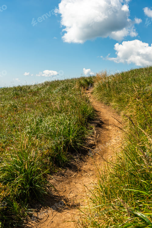 Preview: Wilderness and scenic nature and alpine landscape at summer in Bieszczady Mountains, Carpathians, Po
