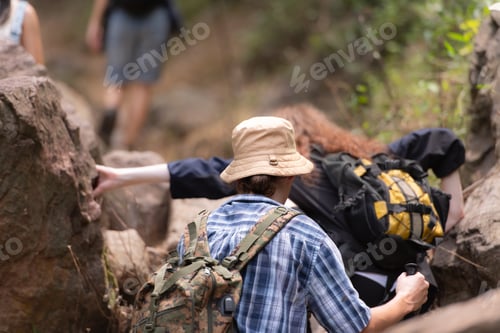 Preview: Group of friend on a sunny day in the forest Young group hiker with backpack and trekking poles