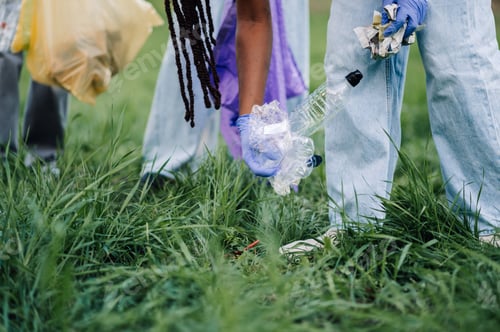 Preview: Volunteers picking up trash in a public park