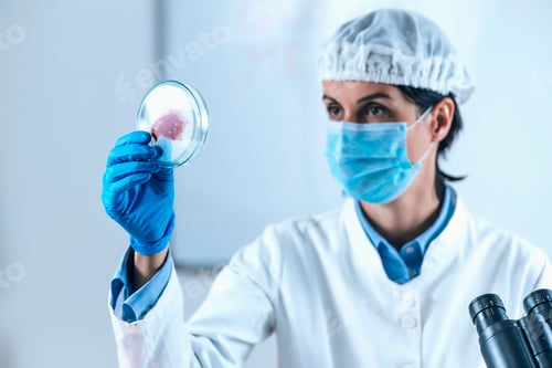 Preview: Female Scientist Looking at Meat Sample in Petri Dish in Laboratory