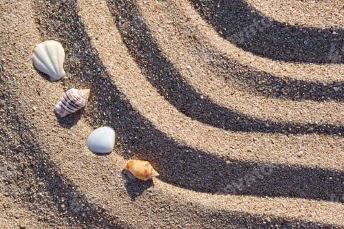 Preview: Travel and vacation season, summer holiday background. Top view of sea shells on beach sand