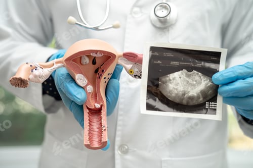 Preview: Doctor Holding Anatomical Model with Ultrasound Image