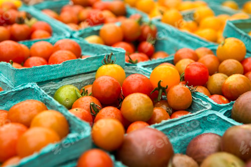 Preview: Organic Tomatoes