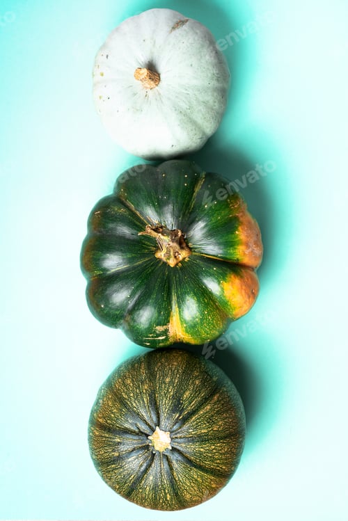 Preview: Natural organic pumpkin on trendy green background. Top view. Copy space. Autumn harvest concept