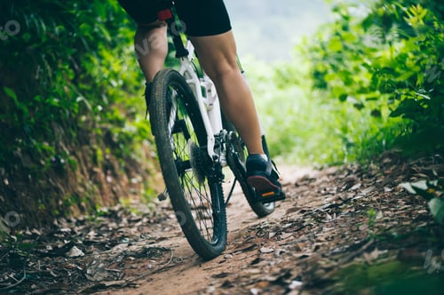 Preview: Cross country cycling