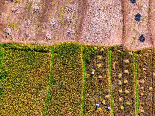 Preview: beautiful morning aerial view of Indonesia with mountains and tropical forests
