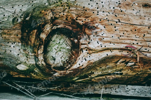 Preview: Old and grunge wooden texture