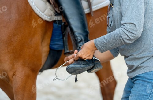 Preview: Close up hands of woman try to set loop of pedal for riding the horse during practice or train.