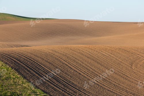 Preview: Rolling hills of tilled farmland and wheat grass, Spring, Palouse