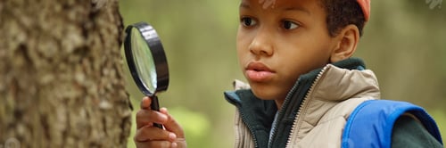 Preview: Header with Curious Boy Examining Tree Bark with Magnifying Glass Outdoors