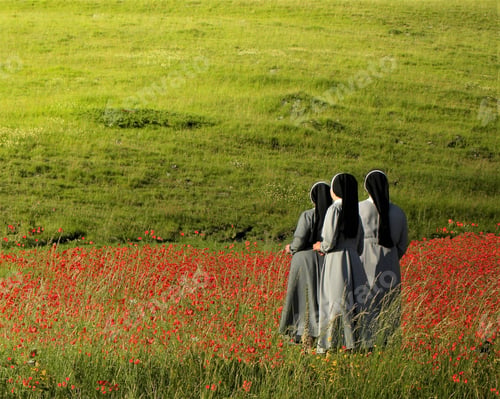 Preview: Beautiful view of three nuns in a poppy field