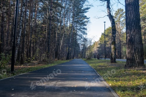Preview: Walking path in a city park. Pedestrian path made in the forest.