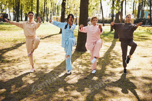 Preview: Group of people doing wushu exercise on one leg