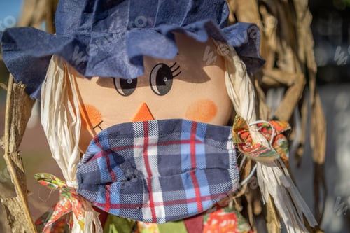 Preview: Cute scarecrow in a plaid cloth mask - the concept of fighting against the coronavirus