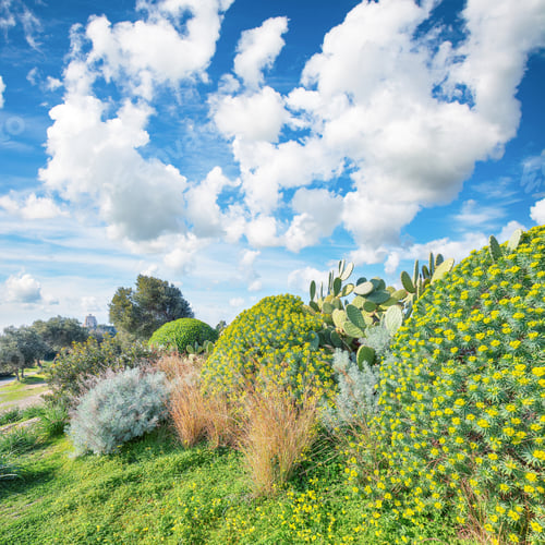 Aperçu: Stunning spring view on the the cape Milazzo panorama of nature reserve Piscina di Venere.