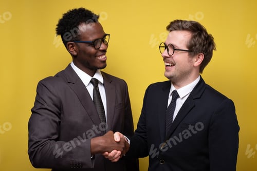 Preview: Handshake of two business people. Two men making a deal.