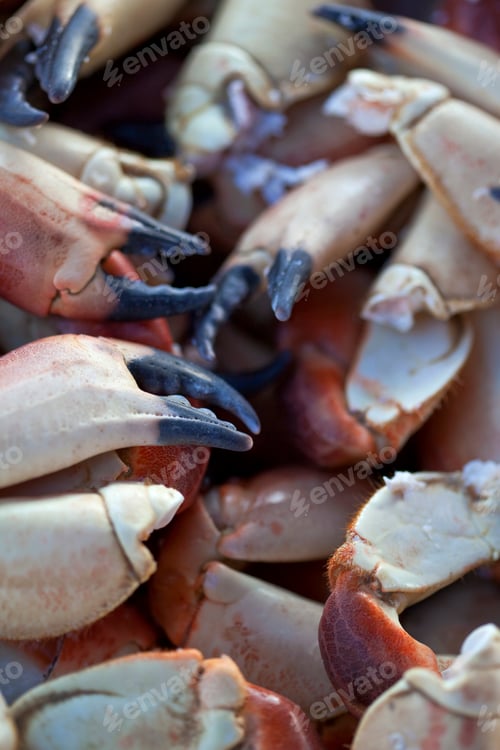 Preview: Crab claws on a stall