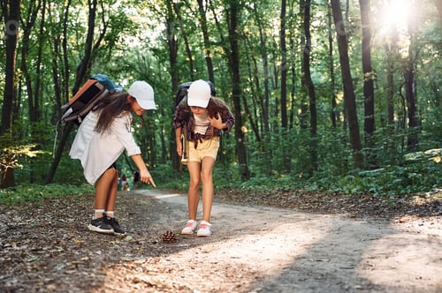 Preview: Two girls is in the forest having a leisure activity, discovering new places