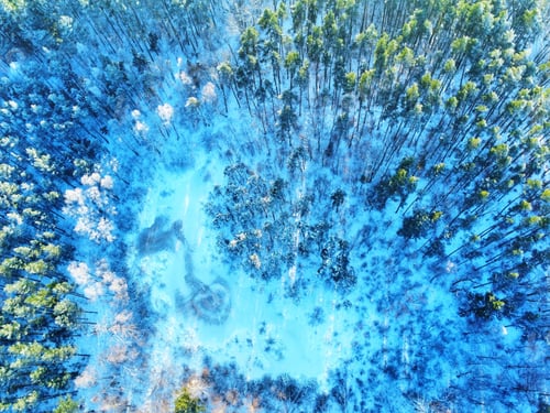 Preview: Drone shot of a winter forest
