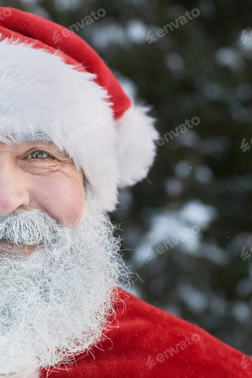 Preview: Santa Claus Half Portrait