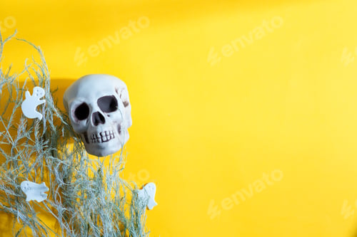 Vista previa: Halloween card with human skull, dry plant and cut ghosts