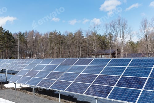 Preview: Solar panel in forest